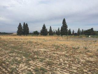 11657 North Devonshire Avenue, Fresno, CA 93730