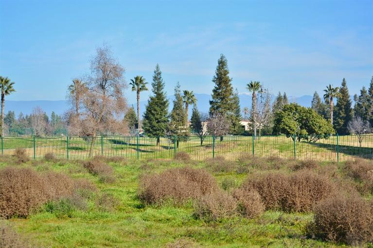 11572 North DEVONSHIRE Avenue, Fresno, CA 93730