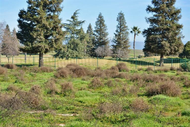 11572 North DEVONSHIRE Avenue, Fresno, CA 93730