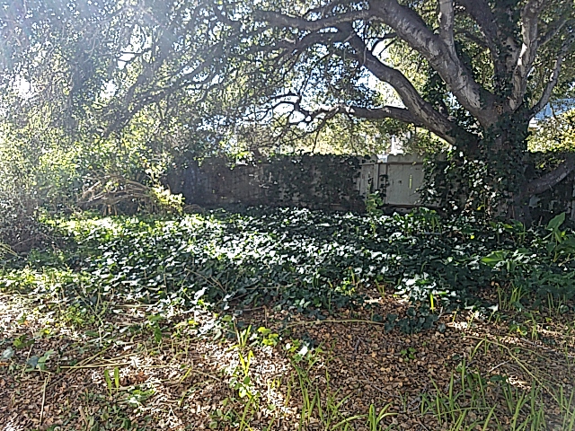 174 Riker TerraceSalinas, CA, 93901Monterey County