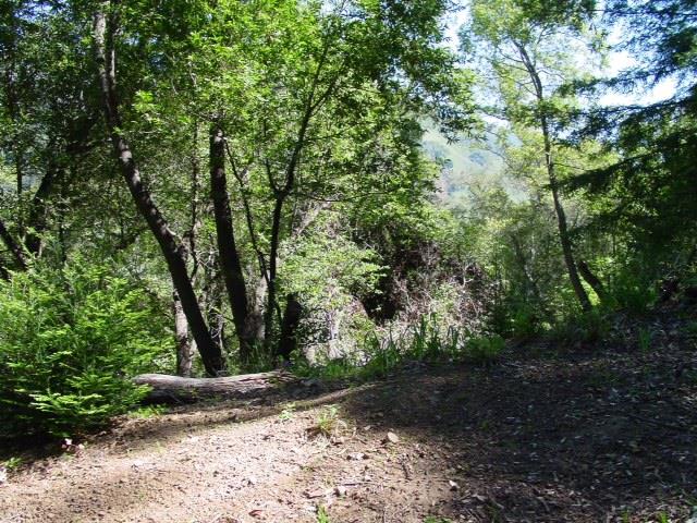 46151 Clear Ridge Rd, Big Sur, United States 93920