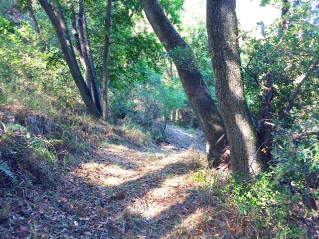 46151 Clear Ridge Rd, Big Sur, United States 93920