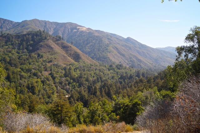 46151 Clear Ridge Rd, Big Sur, United States 93920