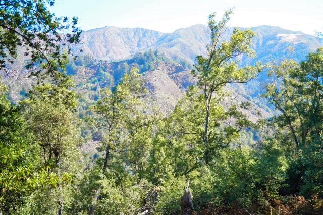 46151 Clear Ridge Rd, Big Sur, United States 93920