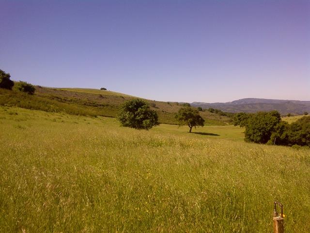 11770 Camino Escondido Rd, Carmel Valley, United States 93924