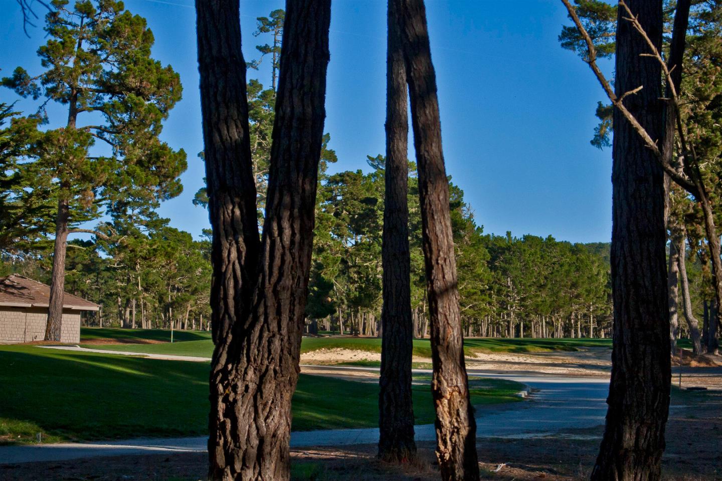 1401 Viscaino Rd, Pebble Beach, United States 93953