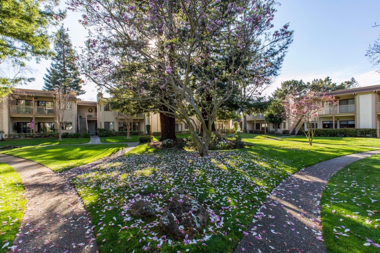 50 Horgan Ave