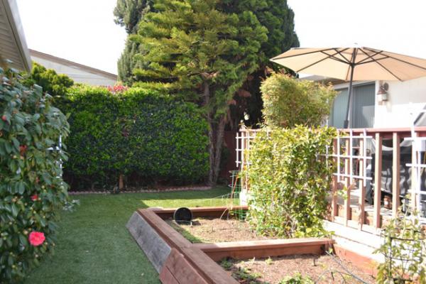 Plaza Del Rey 1225 Vienna Drive #939Sunnybrook, CA 94089
