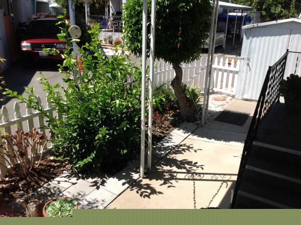 The Trees Mobile Home Park 122 The Trees Dr.Concord, CA 94518