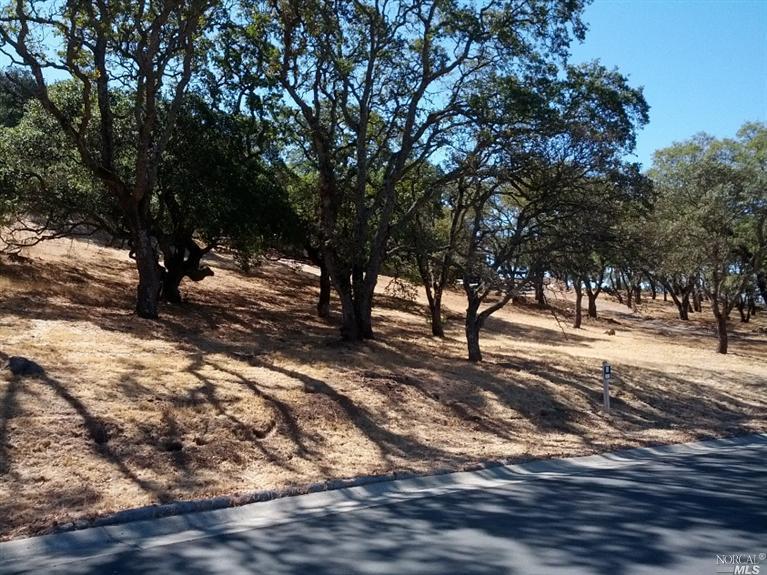 738 Bridle Ridge Court Lot 198, Fairfield, United States 94534
