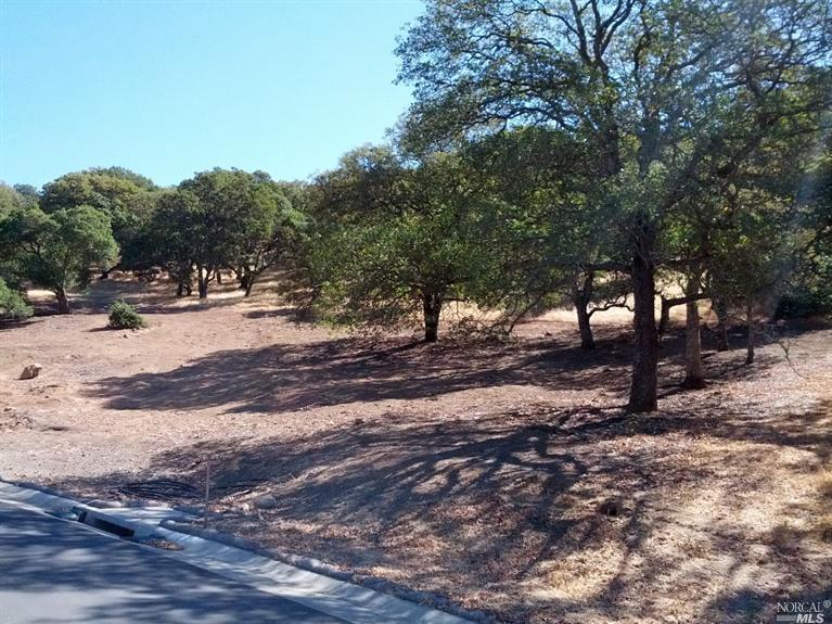 738 Bridle Ridge Court Lot 198, Fairfield, United States 94534