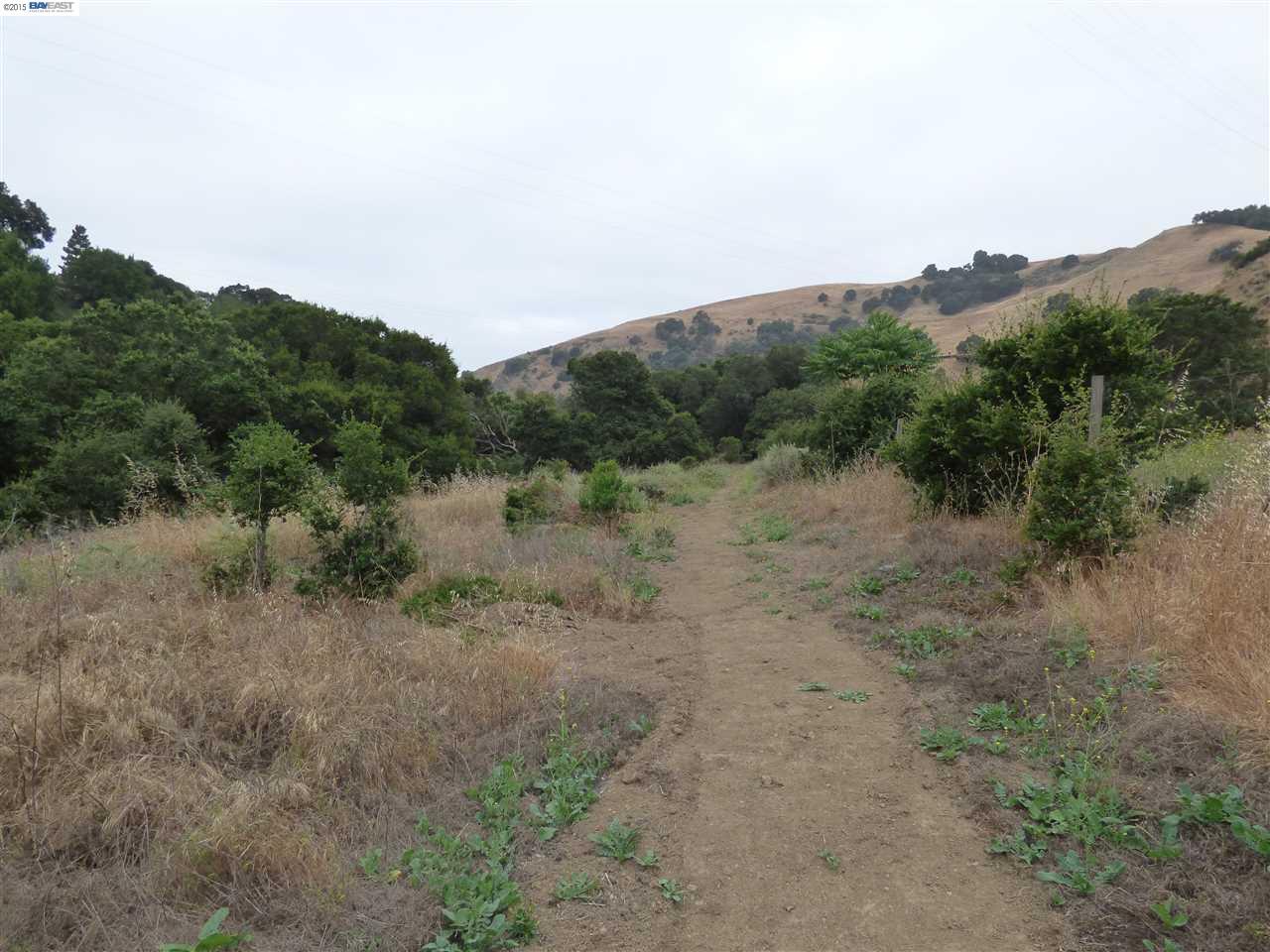 1298 Niles Canyon Blvd., Fremont, CA 94536