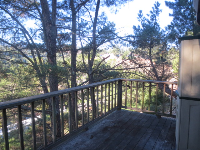 1974 Ascot DriveMoraga, CA, 94556Contra Costa County