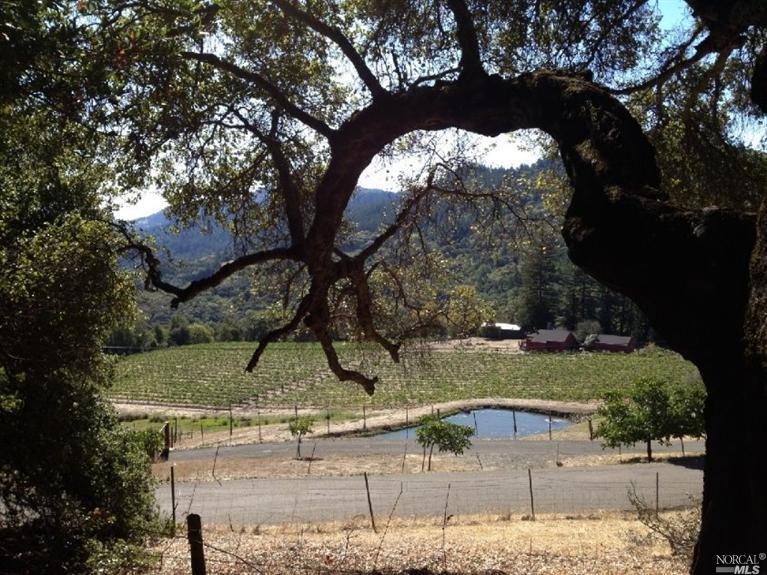 Wall Rd, Napa, United States 94558