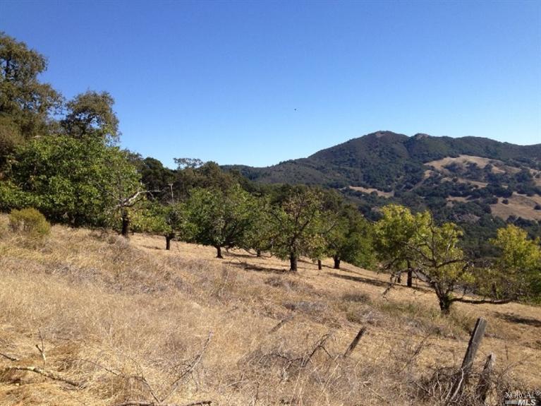 Wall Rd, Napa, United States 94558