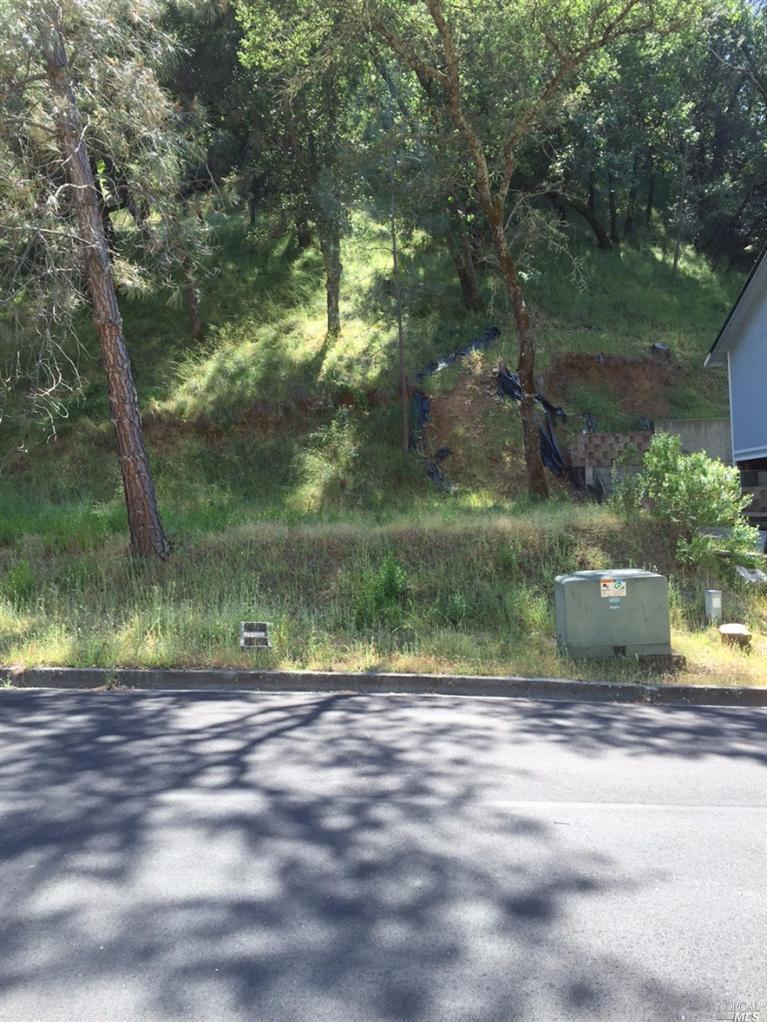 168-Lot Blackwood Court
