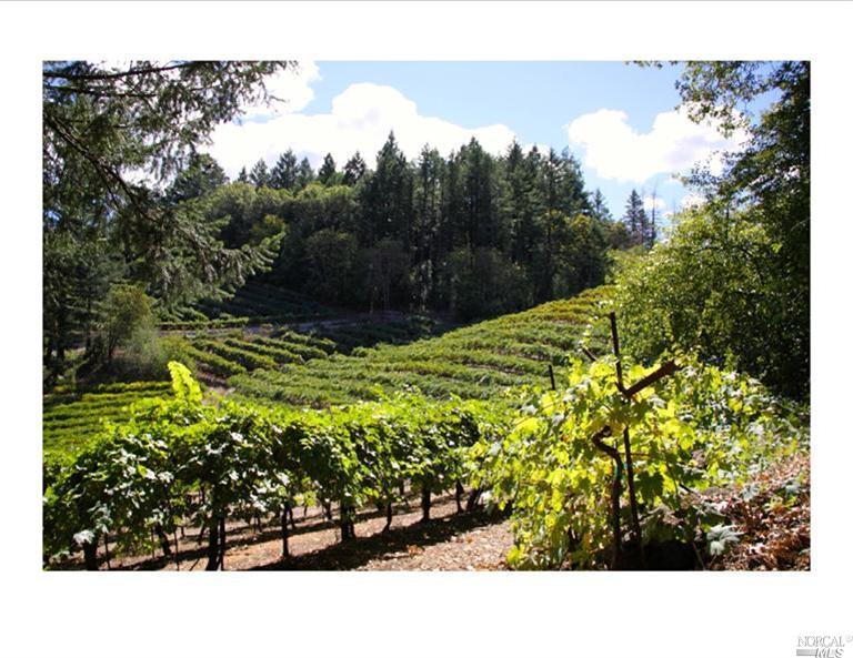 9555 St Helena Rd, St. Helena, United States 94574