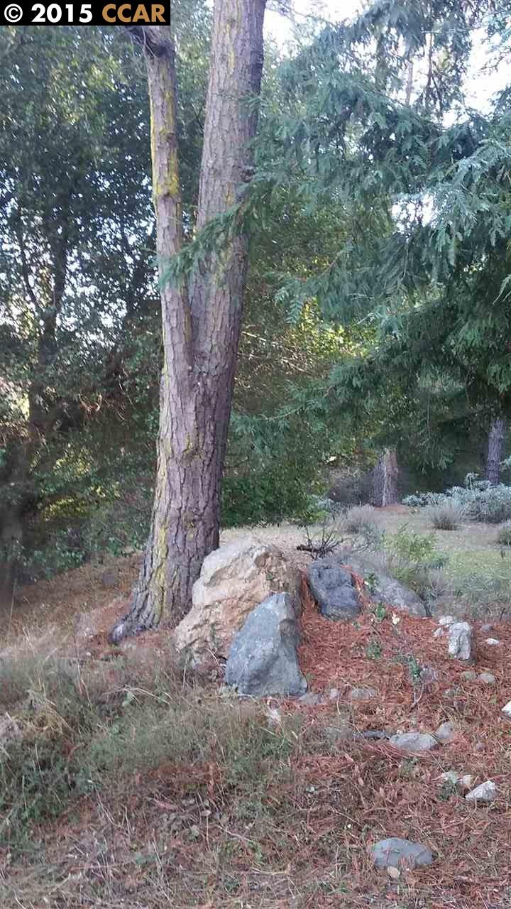 10724 FALLBROOK WAY, Oakland, United States 94605