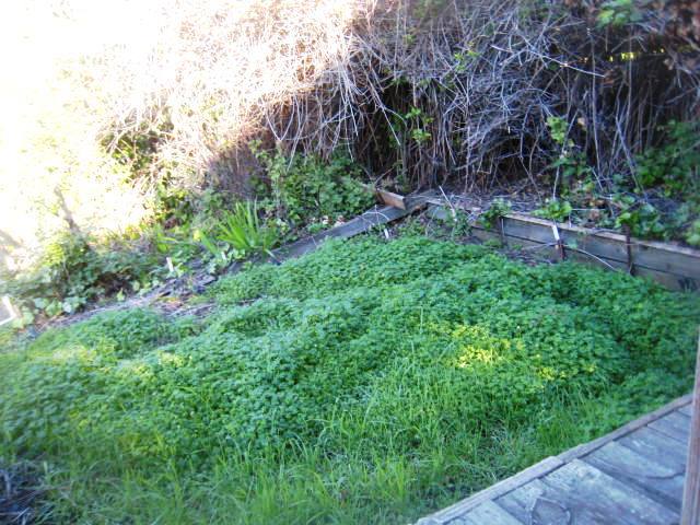 7974 Sunkist DrOakland, CA, 94605Alameda County