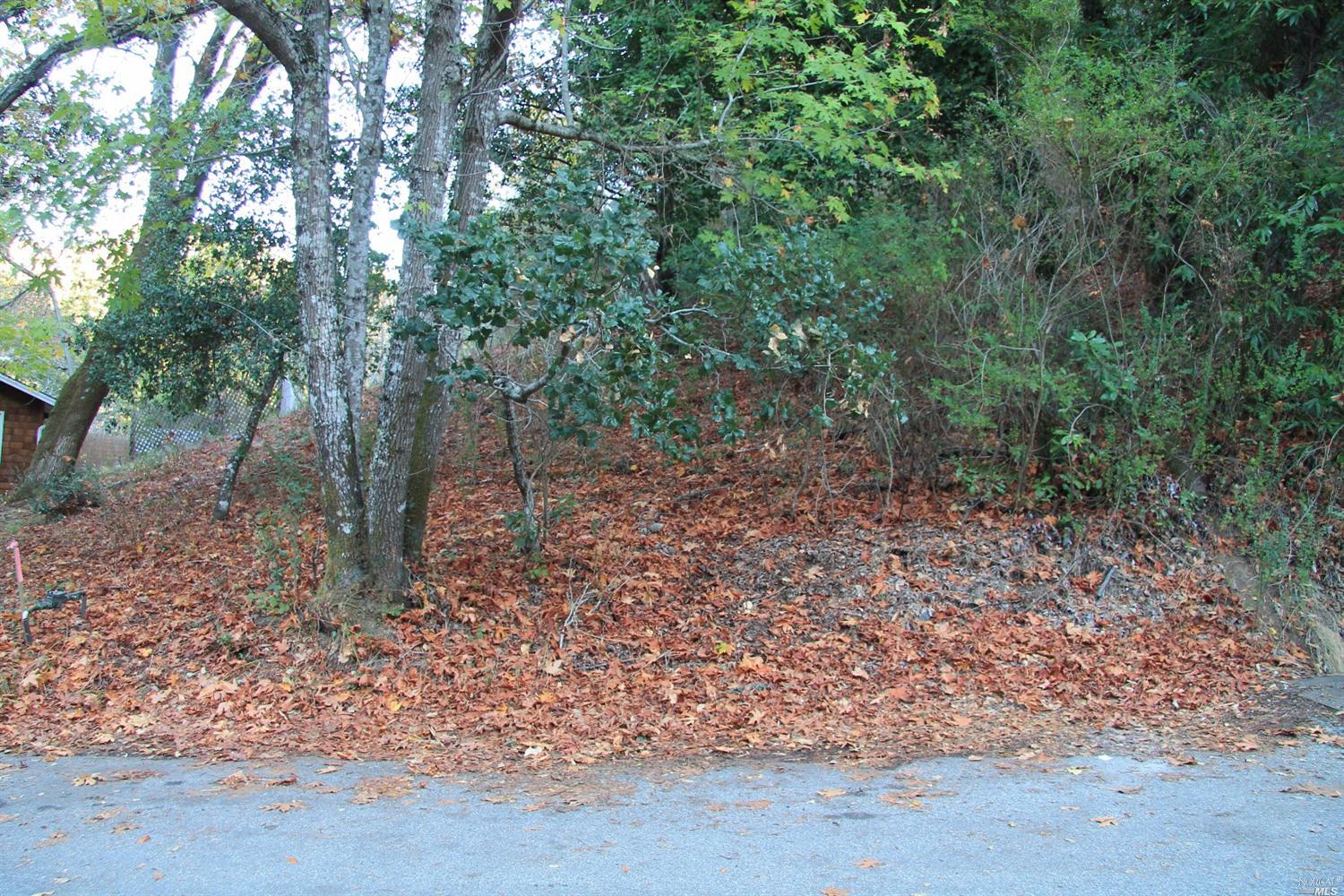600 Murray Avenue, Kentfield, United States 94904