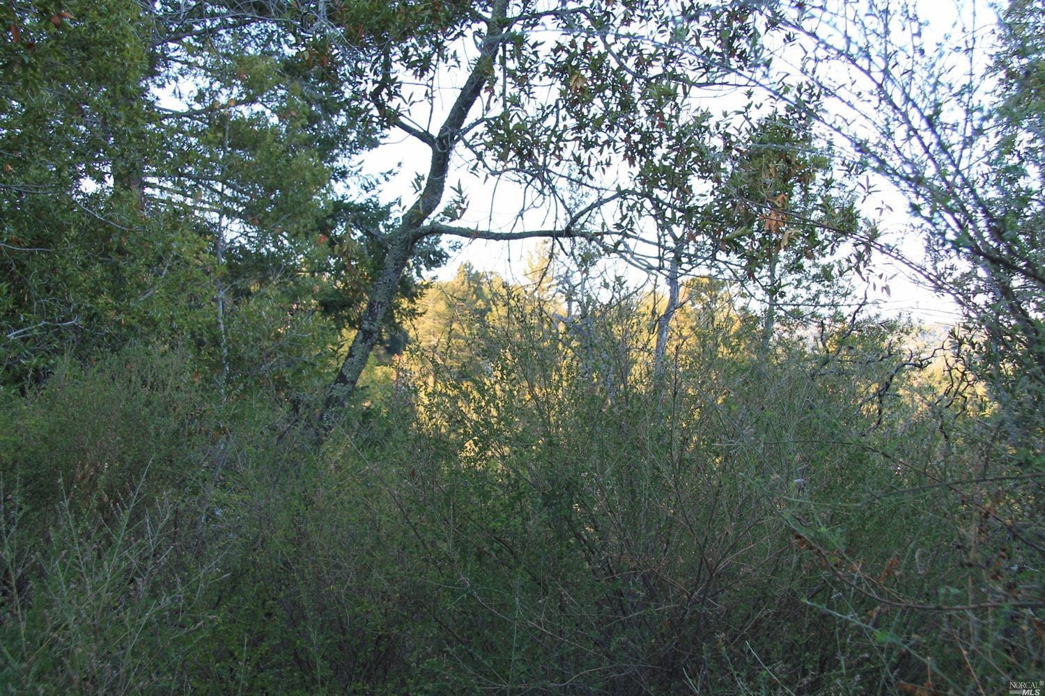 600 Murray Avenue, Kentfield, United States 94904