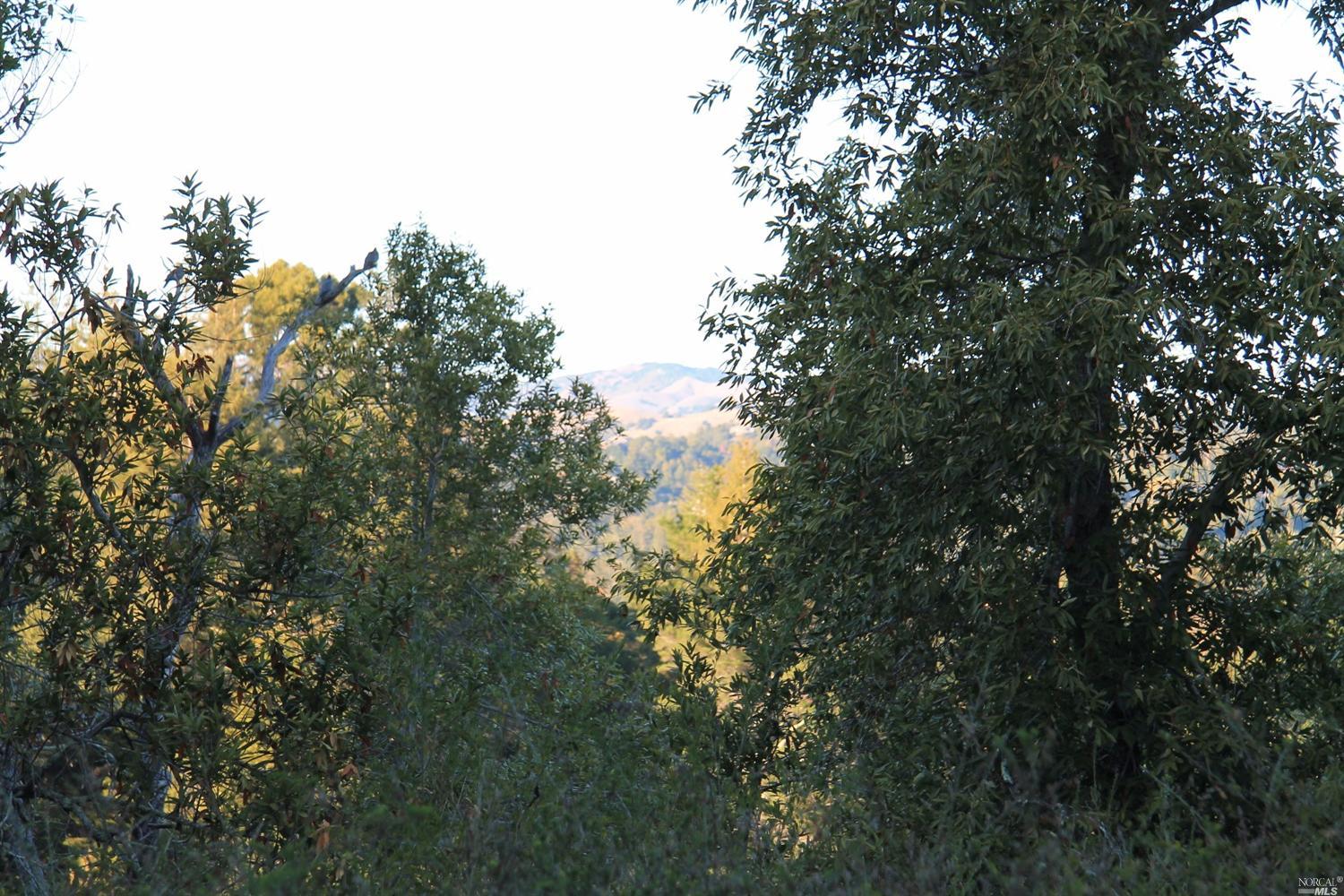 600 Murray Avenue, Kentfield, United States 94904