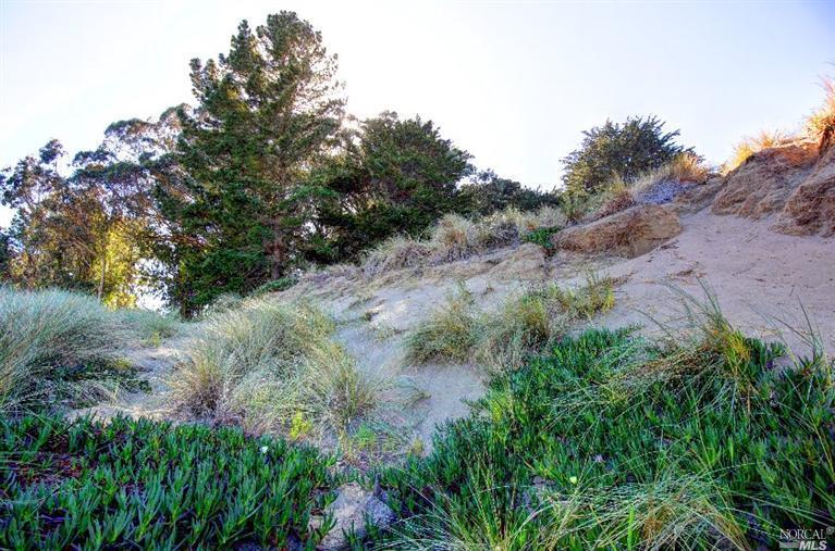 1835 Bay Flat Road, Bodega Bay, United States 94923