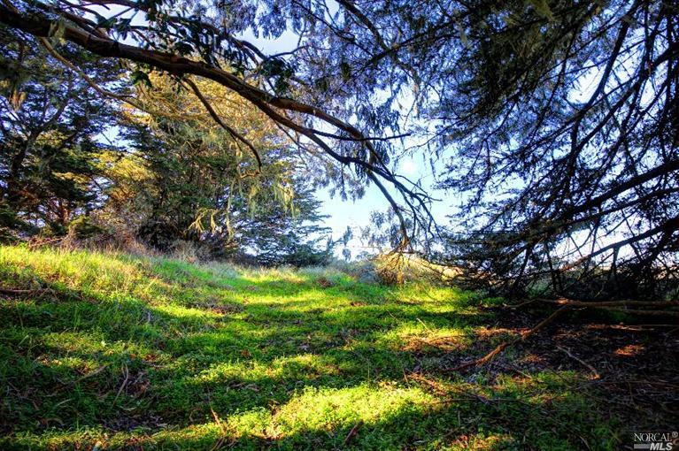1835 Bay Flat Road, Bodega Bay, United States 94923
