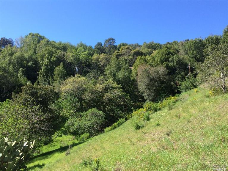 186Scenic Avenue, San Anselmo, CA 94960