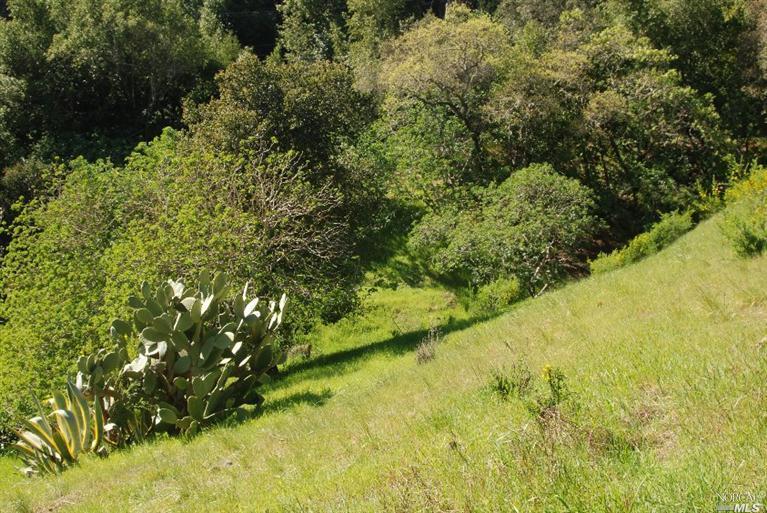 186Scenic Avenue, San Anselmo, CA 94960