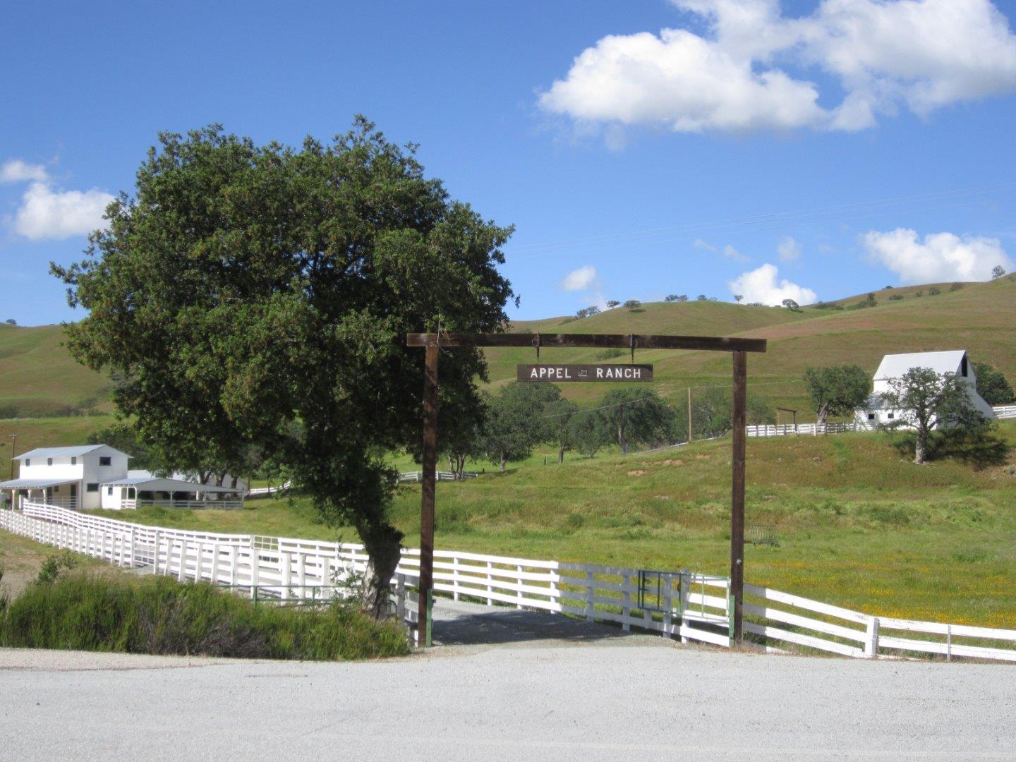 11065 Panoche Rd