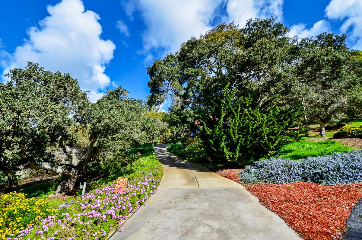 2473 Rifle Range DR, Royal Oaks, CA 95076