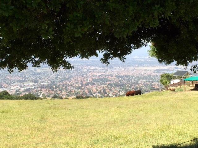 00000 Quimby Rd, San Jose, United States 95148