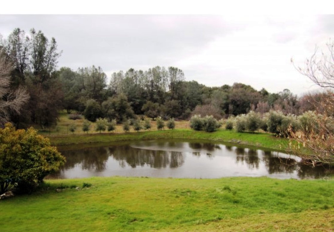 3965 Ranch Road, Angels Camp, United States 95222