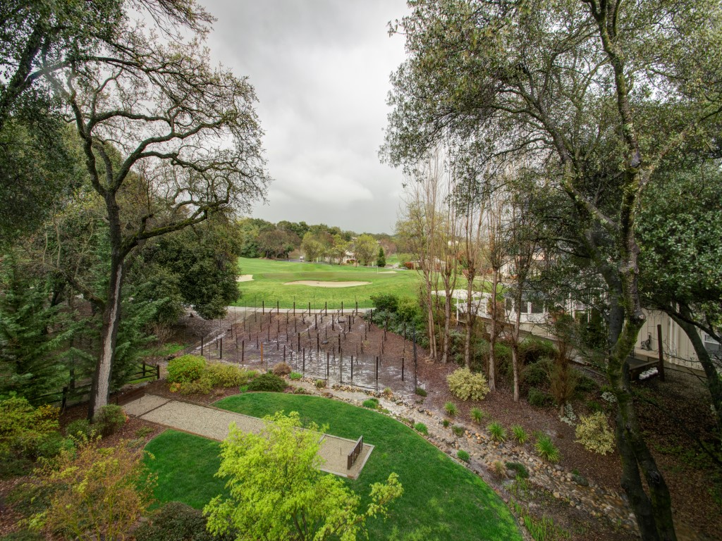 387 Perlina Terrace, Angels Camp, United States 95222