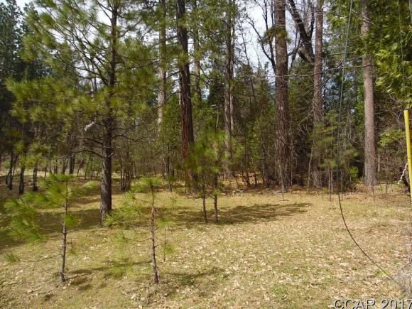 1620 Pine Dr, Arnold, CA 95223