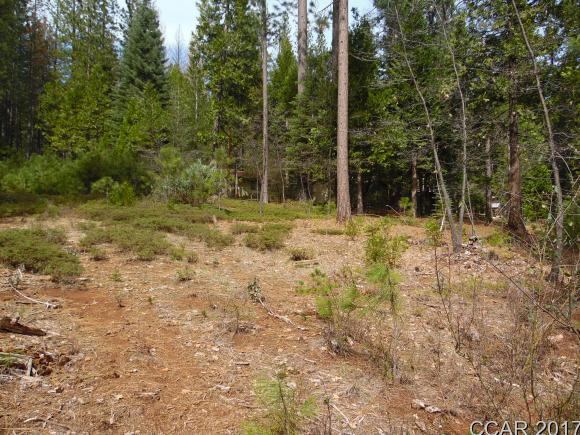 1620 Pine Dr, Arnold, CA 95223