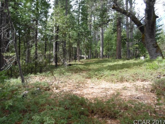 1620 Pine Dr, Arnold, CA 95223