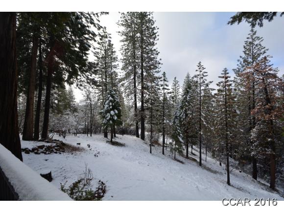 1796 Bear Clover Drive, Arnold, CA 95223