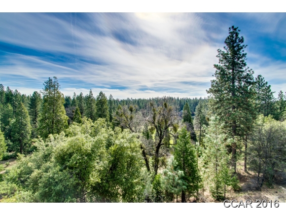 791 Forest Meadows Drive, Murphys, CA 95247