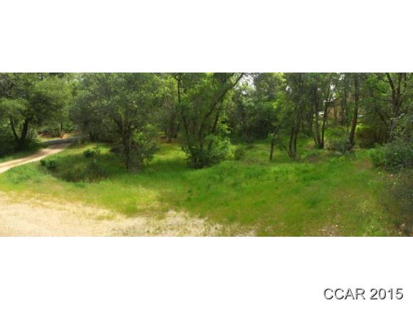 1374 Buckthorn