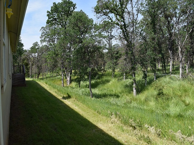 3182 Chicharra WayCoulterville, CA, 95311Mariposa County