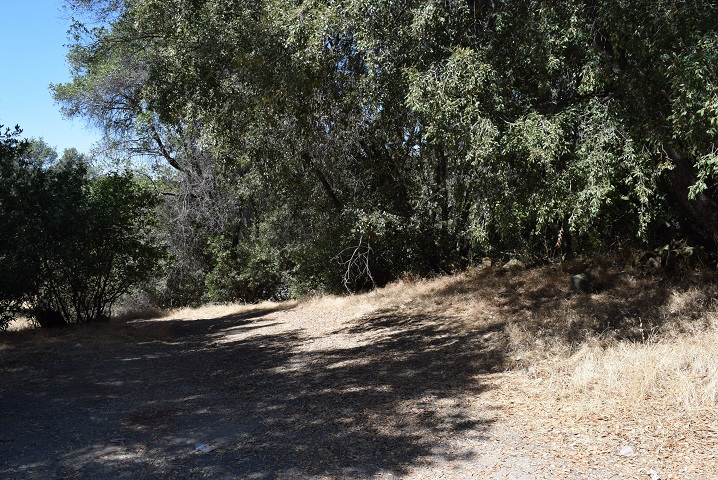 4059 Triangle RdMariposa, CA, 95338Mariposa County
