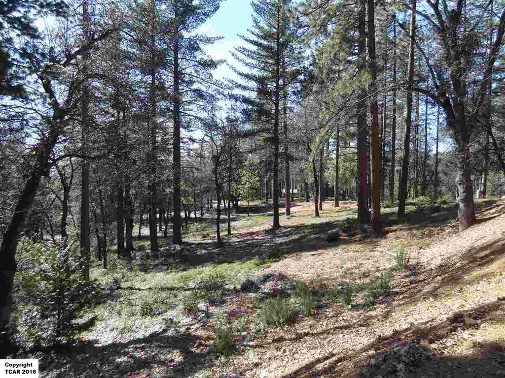 17553 Mt Elizabeth Drive, Sonora, United States 95370