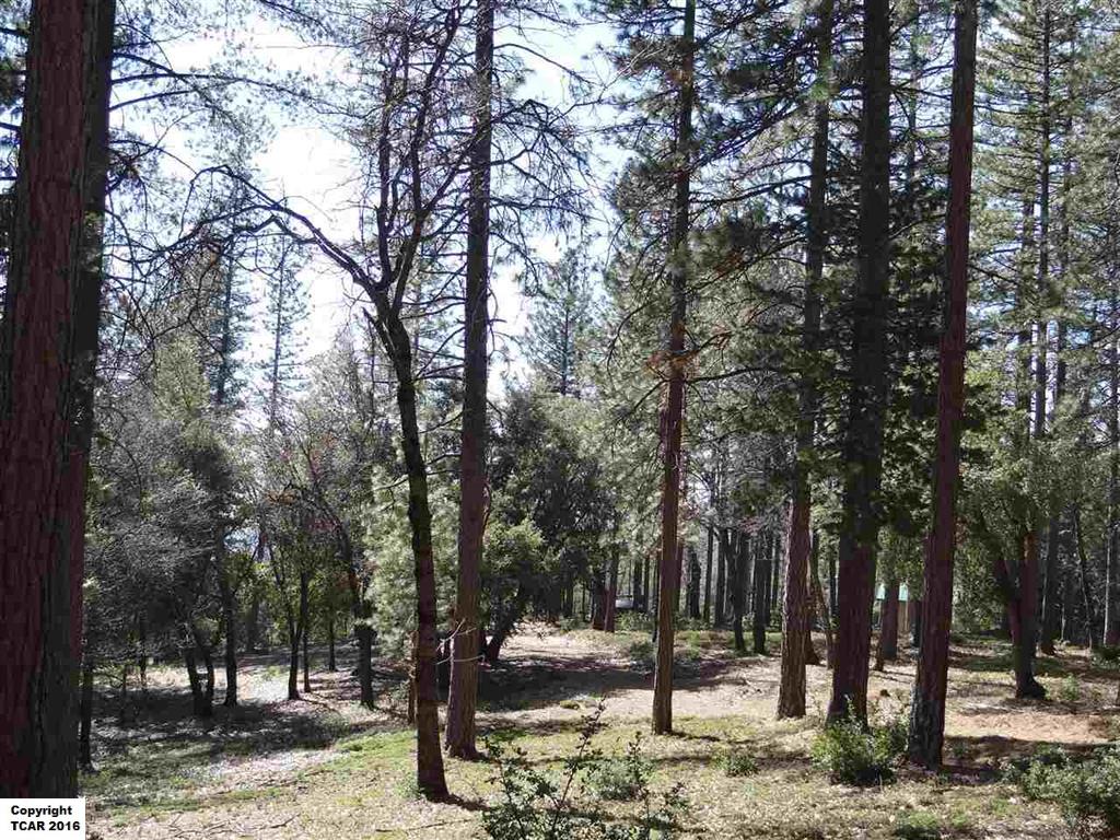 17553 Mt Elizabeth Drive, Sonora, United States 95370