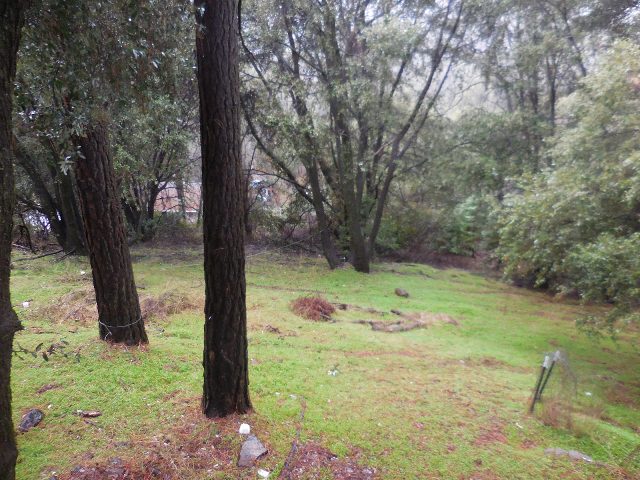 20398 Canyonview DrTuolumne, CA, 95379Tuolumne County