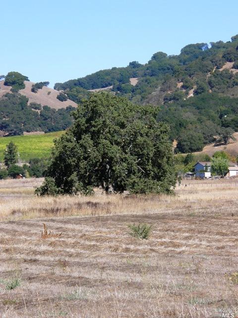 585 Hunter Lane, Santa Rosa, United States 95404