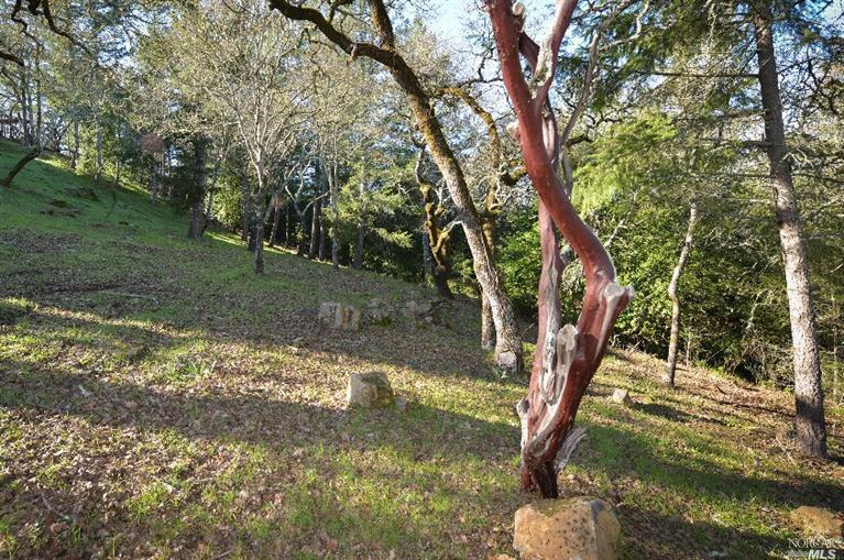 3923Fawnglen Place, Santa Rosa, CA 95409
