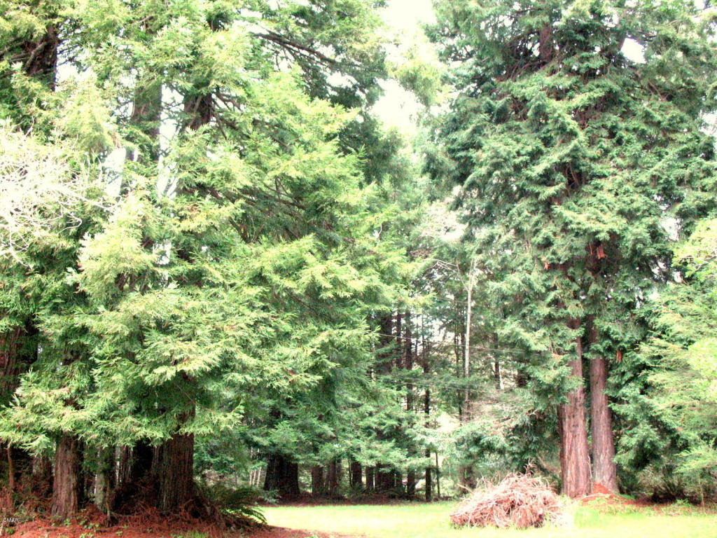 32200 Mcdonnell Road, Fort Bragg, United States 95437