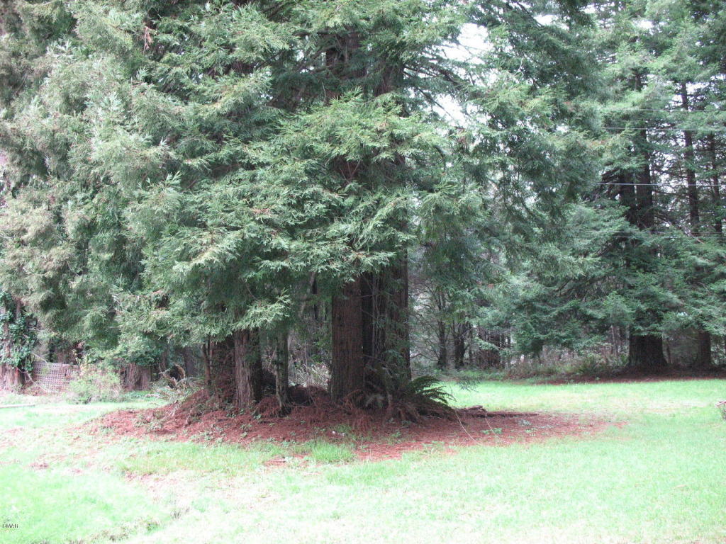 32200 Mcdonnell Road, Fort Bragg, United States 95437